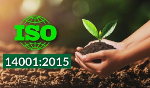 ISO 14001 – Con đường đến với phát triển bền vững và trách nhiệm môi trường